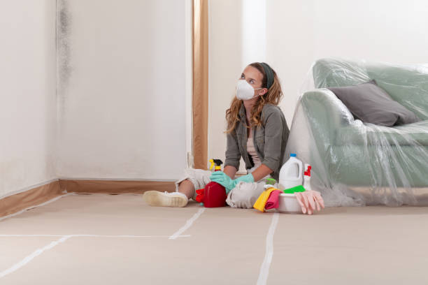 Reliable Mold Inspection contractor in Caledonia, MI by WQB Mold Removal